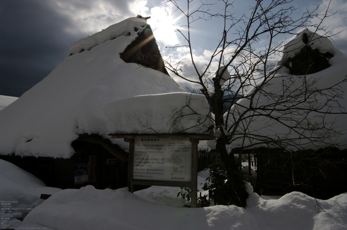 2011_美山_雪_26.jpg