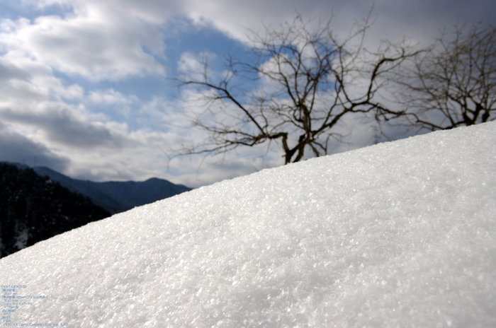 2011_美山_雪_38.jpg