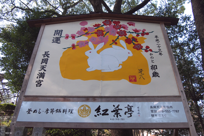 2011_長岡天神・お正月_6.jpg