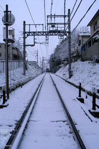 20110211_雪_1.jpg