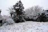 20110211_雪_2.jpg