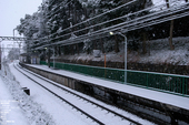 20110211_雪_4.jpg