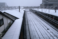 20110211_雪_7.jpg