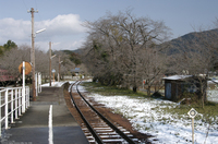 2011_樽見鉄道_2_15.jpg