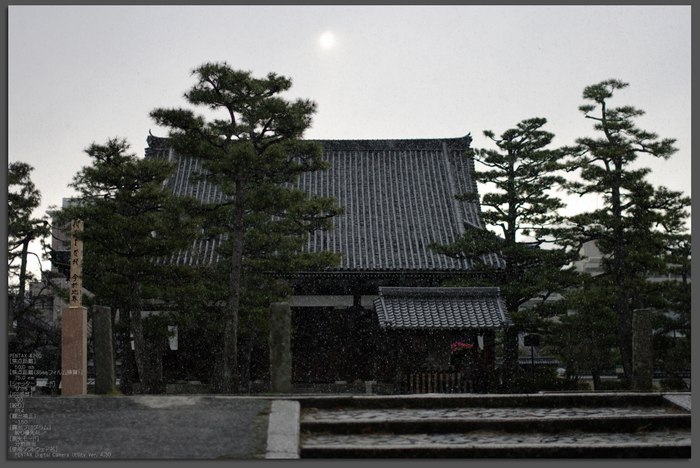 2011_3_百万遍知恩寺・桜_top.jpg