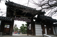 2011_3_道明寺・梅_1.jpg