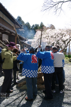 2011_4_三多気・桜_15.jpg