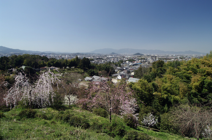 2011_4_久延彦神社_6.jpg