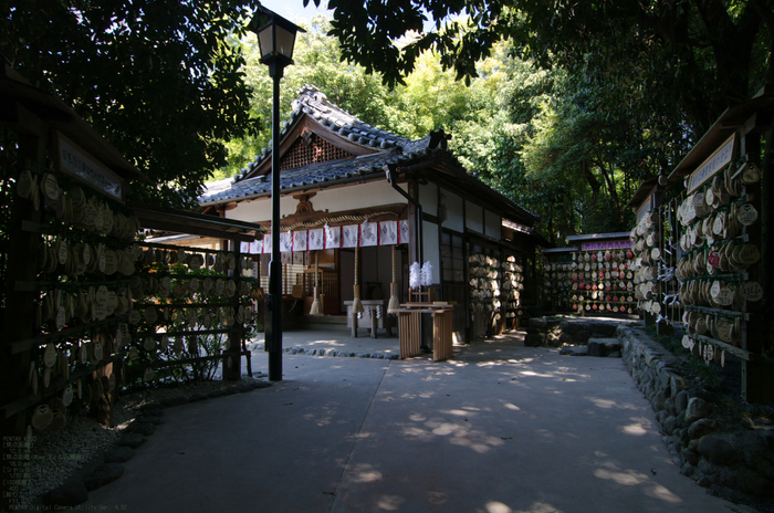 2011_4_久延彦神社_9.jpg