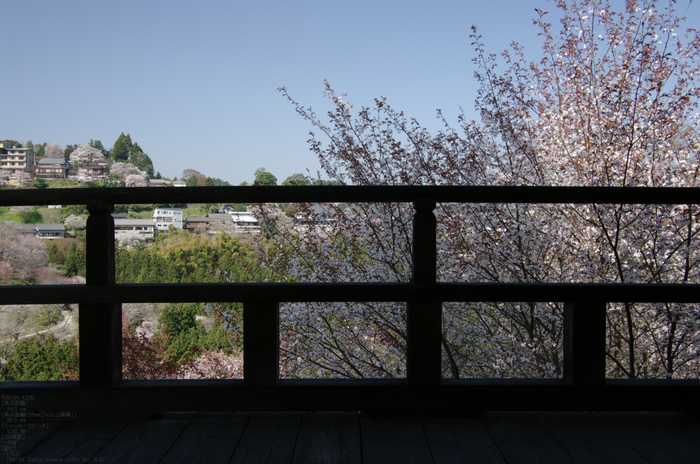 2011_4_吉野山・桜_58.jpg