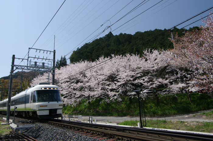 2011_4_吉野山・桜_63.jpg