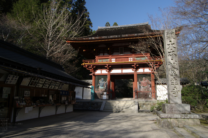 2011_4_室生寺・桜_11.jpg