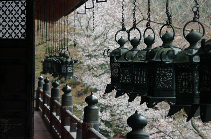 2011_4_談山神社・桜_6.jpg