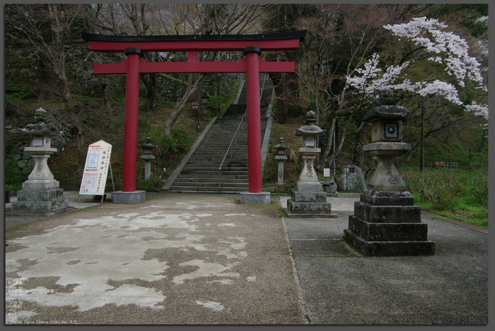 2011_4_談山神社・桜_top.jpg