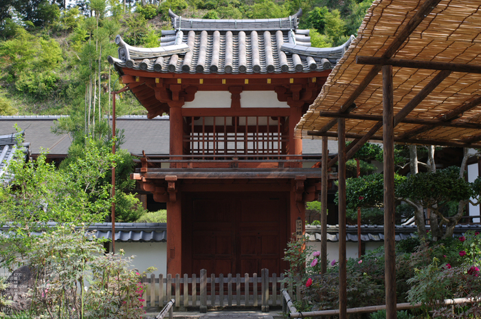 2011_4_岡寺・石楠花_4.jpg