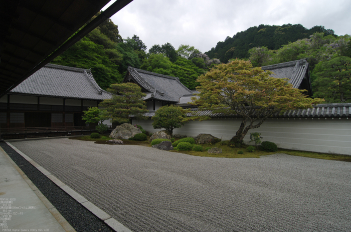 2011_5_南禅寺・新緑_37.jpg