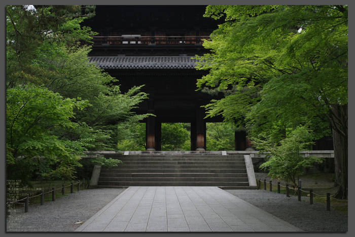 2011_5_南禅寺・新緑_top1.jpg