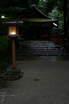 2011_5_大田神社・杜若_10.jpg