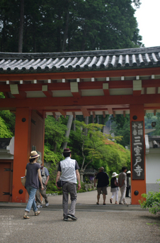 2011_6_三室戸寺・紫陽花_4.jpg