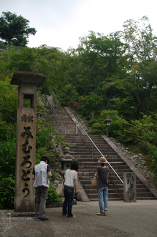 2011_6_三室戸寺・紫陽花_7.jpg