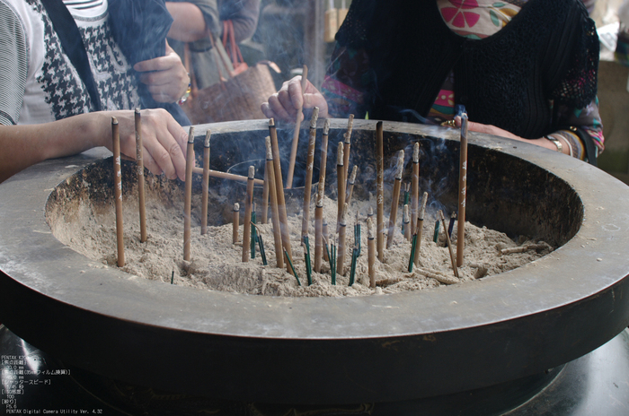 2011_6_三室戸寺・紫陽花_8.jpg