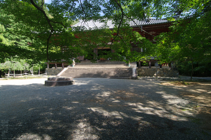 2011_6_神護寺・新緑_12.jpg