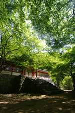 2011_6_神護寺・新緑_16.jpg