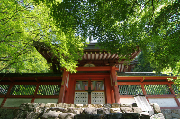 2011_6_神護寺・新緑_17.jpg