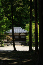 2011_6_神護寺・新緑_27.jpg