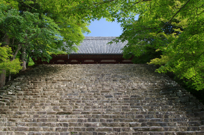 2011_6_神護寺・新緑_7.jpg