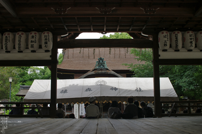 2011_6_藤森神社・紫陽花_5.jpg