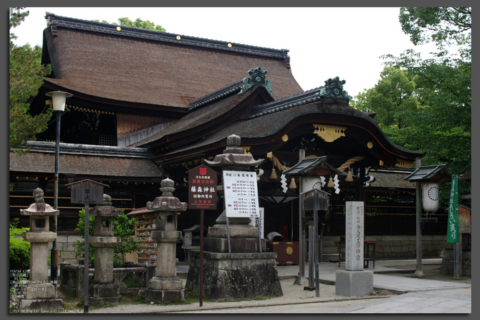 2011_6_藤森神社・紫陽花_top1.jpg