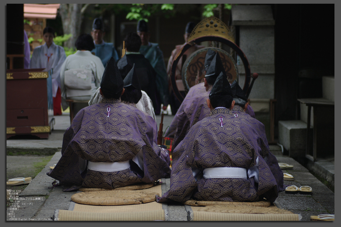 2011_6_藤森神社・紫陽花_top2.jpg