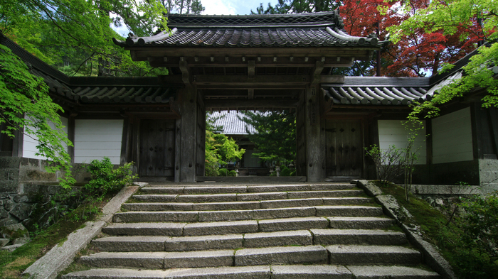 2011_6_西明寺・青椛_6.jpg