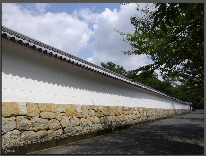 201107_勧修寺・蓮_top1.jpg