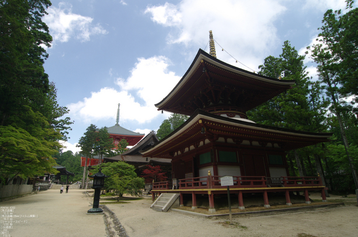 201107_高野山_4.jpg