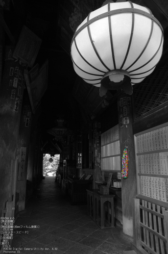 2011_6_長谷寺・紫陽花_16.jpg