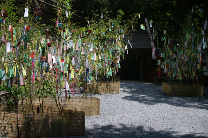 2011_7_貴船神社・夏_4.jpg