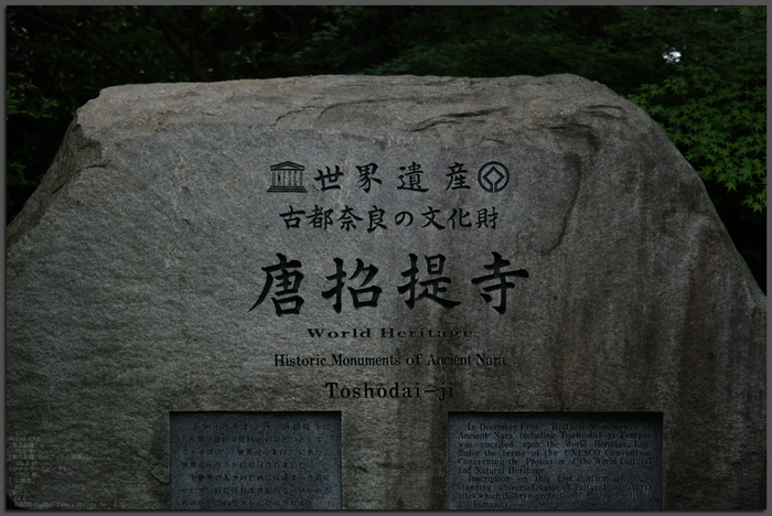 2011_唐招提寺・蓮_top.jpg