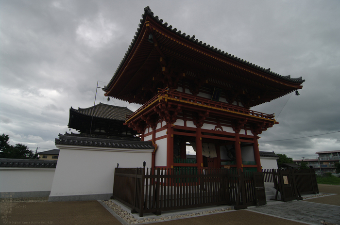 2011_喜光寺・蓮_2.jpg