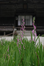 201107_延暦寺_50.jpg