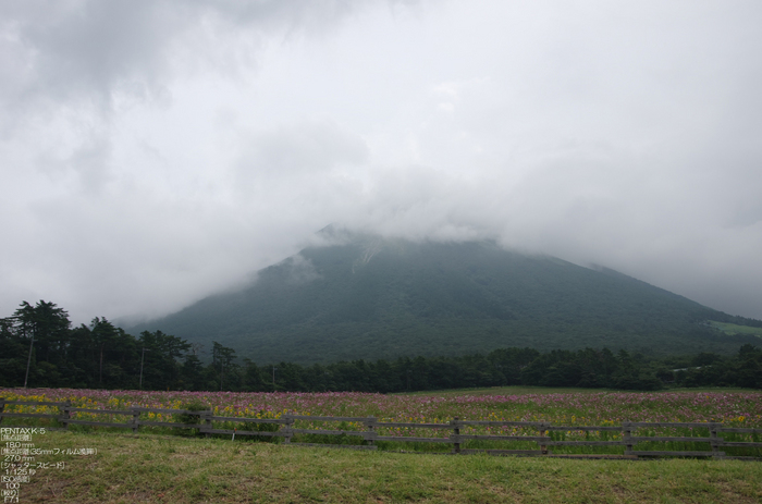 201108_鳥取・大山まきば_4.jpg