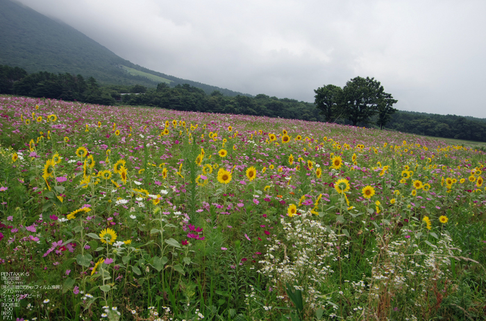 201108_鳥取・大山まきば_5.jpg