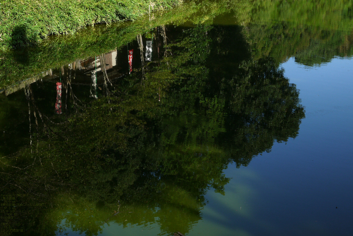 嵯峨野_竹林_201109_12.jpg