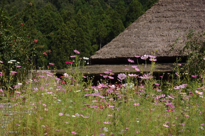 美山_201109_20.jpg