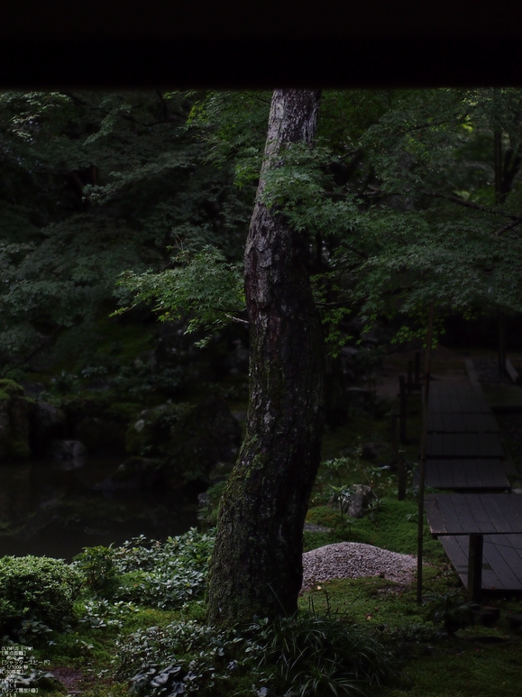 蓮花寺_201109_10.jpg