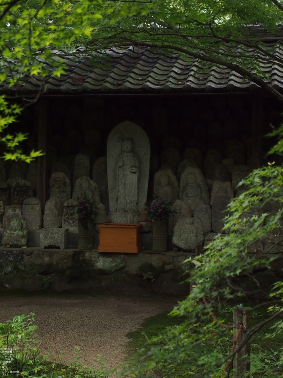 蓮花寺_201109_17.jpg