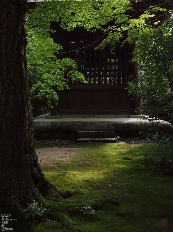 蓮花寺_201109_18.jpg