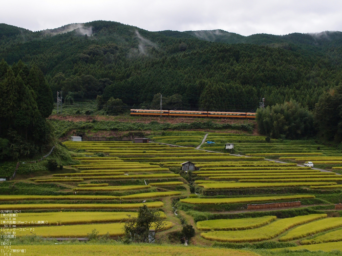 近鉄大阪線_棚田_1109_2.jpg