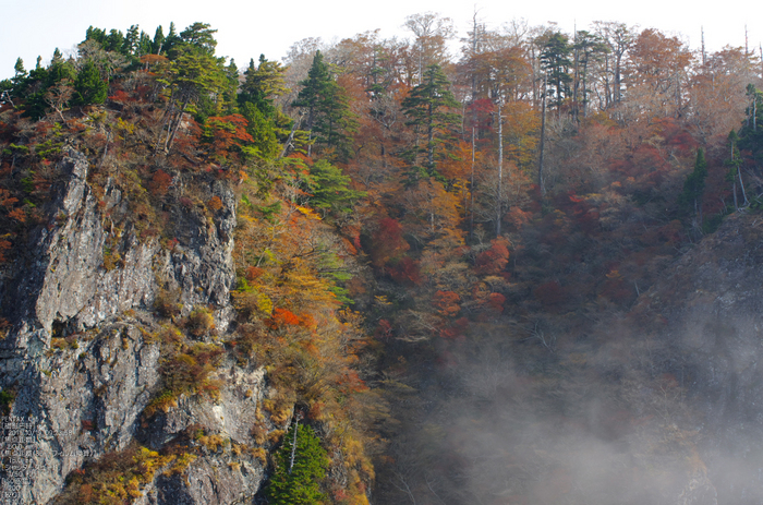 大台ヶ原_2011_紅葉_13.jpg